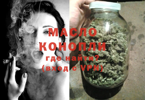 индика Кинешма