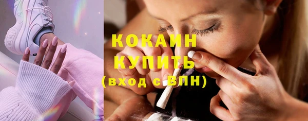 стаф Козельск