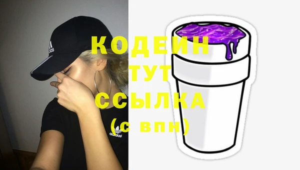 прущие грибы Корсаков