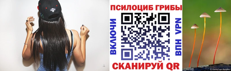 Псилоцибиновые грибы Cubensis  Кировград 